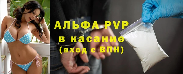 ГАЛЛЮЦИНОГЕННЫЕ ГРИБЫ Наволоки