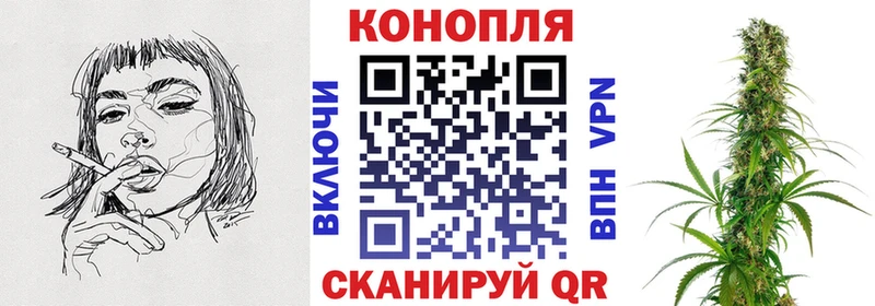 Бошки марихуана сатива  Мышкин 